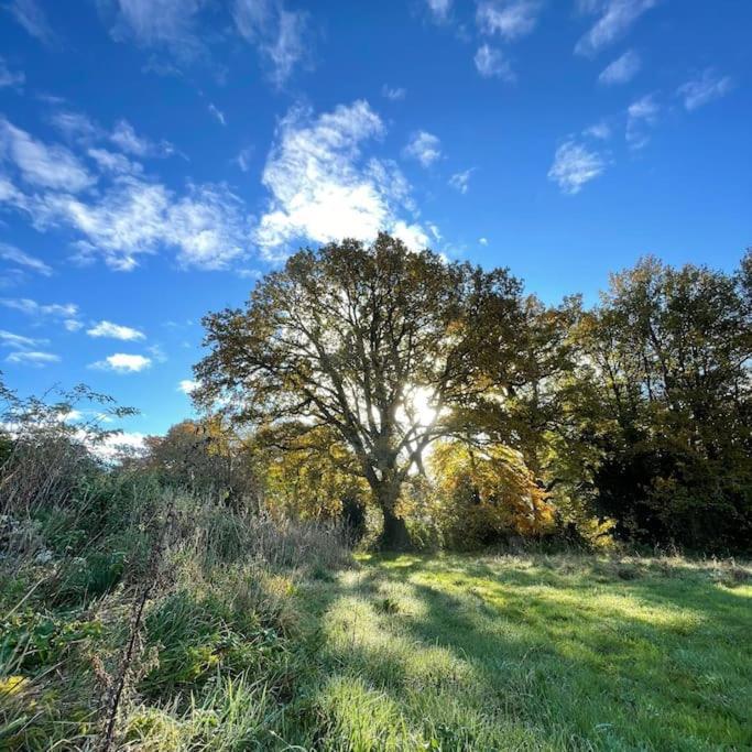 Superbe Maison De Campagne A Deux Pas De Nantes Treillieres ภายนอก รูปภาพ